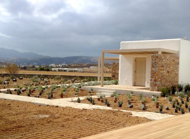 14.7.16 Paros villa landscaping